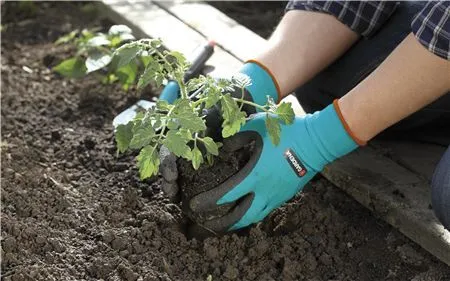 Набор для выращивания базилика Gardena «Домашнее садоводство» 08967-20