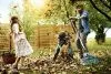 Грабли Gardena веерные регулируемые из пластика 03099-20