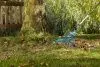 Грабли Gardena веерные регулируемые из пластика 03099-20