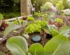 Датчик влажности почвы Gardena 01867-20