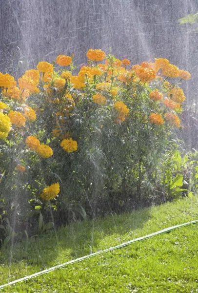 Шланг-дождеватель Gardena зеленый 01995-20