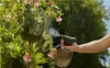 Опрыскиватель Gardena 1 л 11112-20