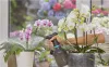 Опрыскиватель Gardena 1 л 11112-20