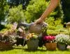 Опрыскиватель Gardena 1 л 11112-20