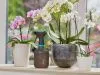 Опрыскиватель Gardena 1 л 11112-20