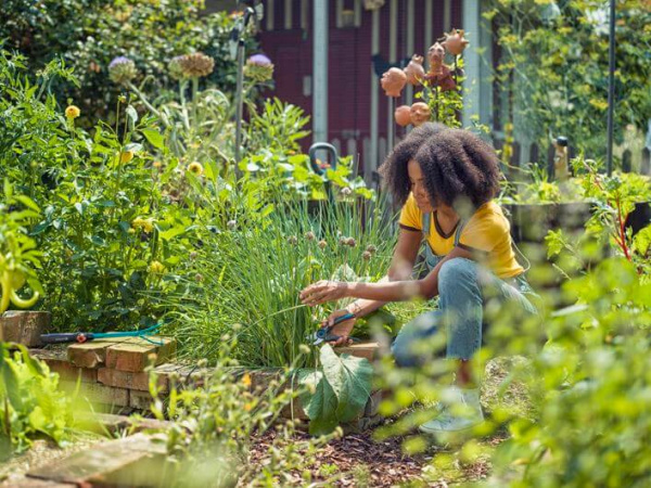 Секатор Gardena ExpertCut 12203-20