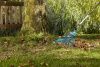 Грабли Gardena веерные регулируемые из пластика 03099-20