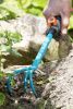 Рыхлитель Gardena ручной 08921-20