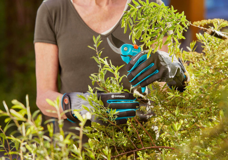 Перчатки для ухода за кустарниками Gardena размер 8 / M 11530-20